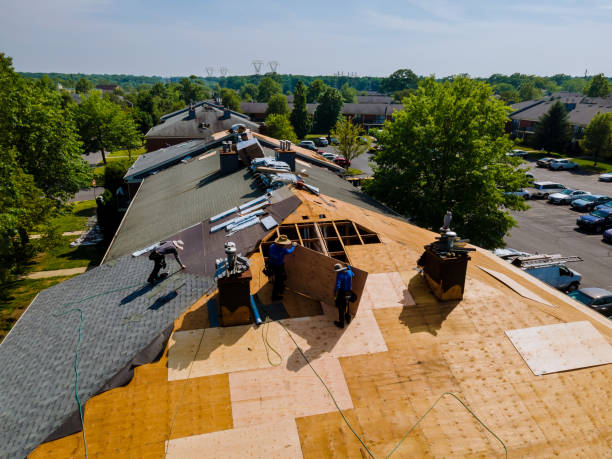 Best Flat Roof Repair Services  in Scottsville, KY